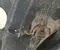 BMW X5 (G05) 2020 Wing liner Right Front - Image 2