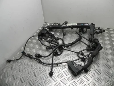 Mercedes-Benz A 651 010 93 18 / A6510109318 C-CLASS T-Model (S205) 2015 Fils du compartiment moteur - Image 1