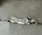 BMW 5A8FEA5 1 (F70) 2025 Steering rack - Image 2