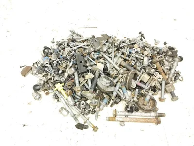 Dodge RAM 1500 IV gen 2019 Boulon - Image 1