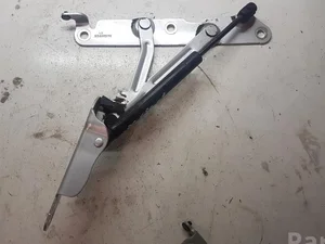 Volvo 30779837 S80 II (AS) 2008 Bisagras de tapa del maletero