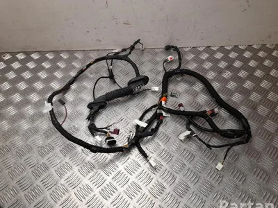 Tesla 1616689-00-C, / 161668900C Model Y 2021 Harnais pour intérieur - Image 1