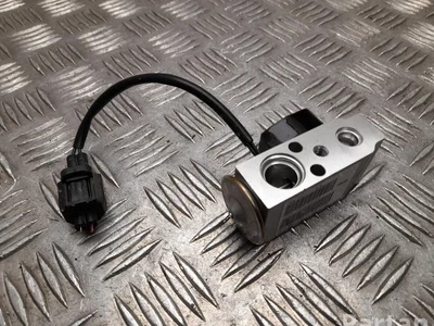 Tesla 6008481-00-B / 600848100B MODEL X 2019 Išsiplėtimo vožtuvas, oro kondicionavimas - Nuotrauka 1