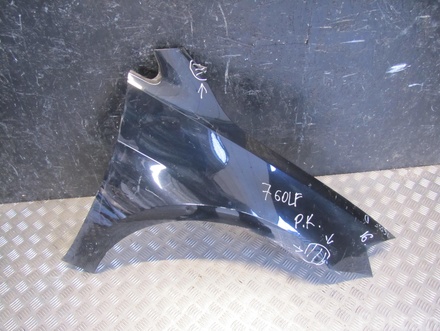 VOLKSWAGEN GOLF VII (5G1, BQ1, BE1, BE2) 2013 Wing right side