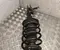 BAIC X75 2025 suspension strut, complete Left Front - Image 1