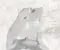 Ferrari 86142800, 086142800 California 2015 Protection thermique - Image 3