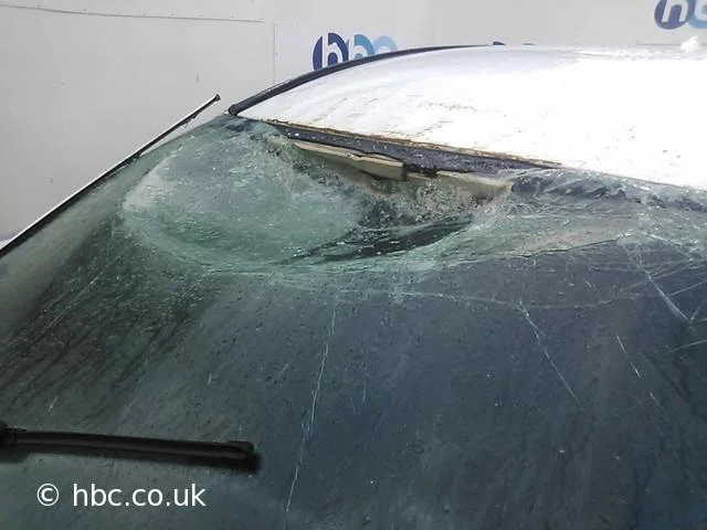 XC60 BALTA - Photo 9