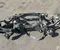 Audi 8W0505235AK A4 Avant (8W5, B9) 2020 eje trasero - Imagen 3