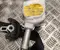 Gebrauchtes Original Toyota N088631 PRIUS PHV (_W52_) 2019 Sicherheitsgurt vorne rechts - Bild 3