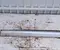 Ford L1TBS20307C, L1TBS20307D Puma 2020 Sonstige Veredelungsdetail - Bild 1
