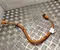 Volvo 6608075836 EX30 (416) 2024 Harness - Image 1
