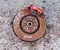 Ford LX6C3K170A1A Kuga III 2020 Bremssattel vorne rechts - Bild 1