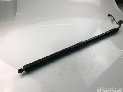 Volvo 32296915 XC60 II (246) 2021 Ressorts / jambes de force et amortisseurs - Image 1