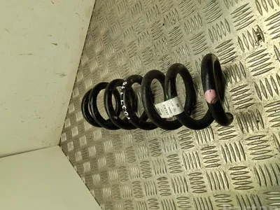 Ford USA LJ9C 5560 BNG / LJ9C5560BNG Mustang Mach-E 2023 Ressort - Image 1