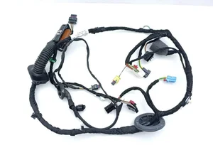 Audi 4M8971030EN Q8 (4MN, 4MT) 2021 Cables de salón Puerta