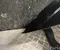 Gebrauchtes Original Audi Q3 Sportback (F3N) 2024 Kotflügel linke Seite - Bild 3