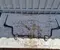 Ford JX615482EEB Focus IV (C519) estate 2019 Stabilizer Front - Image 2