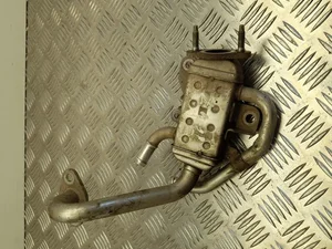 Kia 20201205-0093 / 202012050093 RIO IV (YB) 2021 Aušintuvas, išmetamųjų dujų recirkuliacija