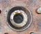 Ford LX6C3K171 Kuga III 2020 Bremssattel - Bild 2