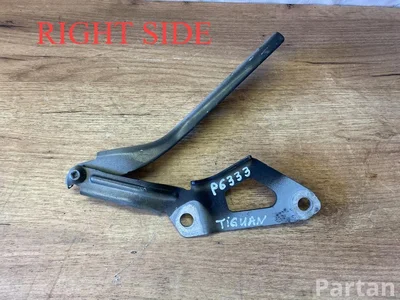 Volkswagen 5NA823302J ; RIGHT / 5NA823302J, RIGHT TIGUAN (AD1) 2021 Hinge, bonnet - Image 1