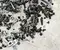 BMW 5 (F10) 2014 Boulon complect - Image 2