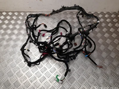 BMW 5 A54 F58 / 5A54F58 iX 2023 Harnais pour intérieur - Image 1