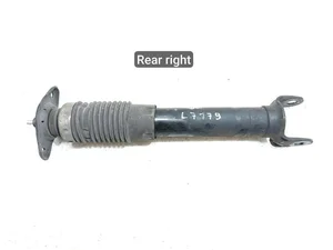 Chevrolet 22784741, 17249141, 172490091, 22268894 CORVETTE (C6) 2012 Stoßdämpfer hinten rechts