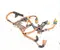 Ford USA NL38-14A099-TA, RL38-14B323BC, RL38-14B323, Z13045445 / NL3814A099TA, RL3814B323BC, RL3814B323, Z13045445 F-150 LIGHTNING Crew Cab Pickup 2025 Laidai - Nuotrauka 3