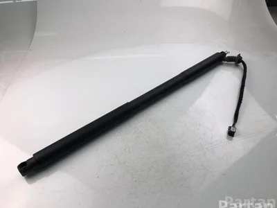 Volvo 32227505 V90 II 2017 Ressorts / jambes de force et amortisseurs - Image 1