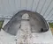 Seat IBIZA V (KJ1) 2020 Wing liner Right Front - Image 1