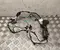 BMW 5 A8B FB6 / 5A8BFB6 5 G60 2025 Kabelsatz für Innenraum Tür - Bild 1