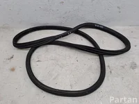 Citroën C4 CACTUS 2019 Türdichtung hinten links