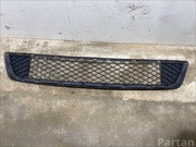 BMW 7222856 X5 (E70) 2011 Grill