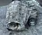 Ford AB397A195BF RANGER (TKE) 2018 Transfer Case - Image 1