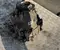 Mercedes-Benz A2512802900 GLE (W166) 2017 Transfer Case - Image 3