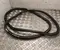 Gebrauchtes Original Ford CAPRI (CX740L) 2024 Türdichtung vorne links - Bild 1