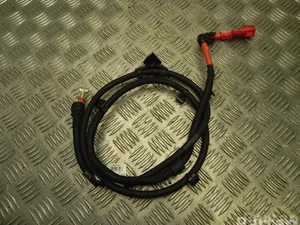 BMW 15974510 3 (G20) 2020 Câbles de batterie