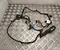 Gebrauchtes Original Volkswagen TAB016130CT ID.4 2023 Kabelsatz - Bild 1