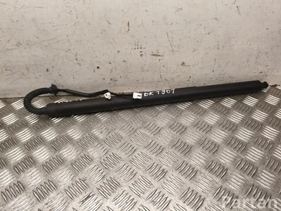 BAIC A00115194, A010B00011 X55 2024 Gasfeder - Bild 1