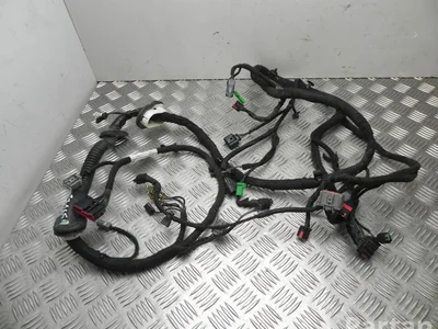 Jaguar J9D3-14A583-RD / J9D314A583RD I-PACE 2019 Harnais pour intérieur Porte - Image 1