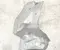Ferrari 86142800, 086142800 California 2015 Protection thermique - Image 1