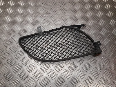 Jaguar AX2M-15K232-AA / AX2M15K232AA XF (X250) 2011 Grillades - Image 1