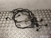 Mercedes-Benz 0005451945, 0005429719 S-CLASS Saloon (W108, W109) 1971 Harness