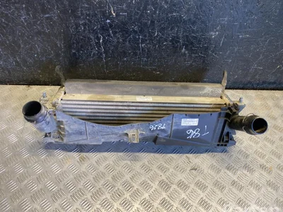 Nissan 14461-4JA0B / 144614JA0B NAVARA platforma / podwozie (D23) 2016 Chłodnica powietrza doładowującego - Obraz 1