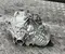 Original (gebraucht) Maserati 06700321830 LEVANTE 2024 Vorderachsgetriebe - Bild 2