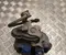 BMW X5 (G05) 2018 Bremssattel hinten links - Bild 2