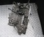 NISSAN 1XF2B, B08X28530, 8X1013 QASHQAI / QASHQAI +2 I (J10, JJ10) 2009 Automatic Transmission