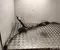 Renault 490014277R MASTER III Nadwozie pełne (FV) 2021 Przekładnia kierownicza - Obraz 1