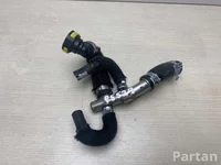 Renault 559326R AUSTRAL 2024 Radiatoriaus žarna