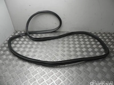 Tesla 621 Model Y 2022 Joint d'étanchéité de porte - Image 1